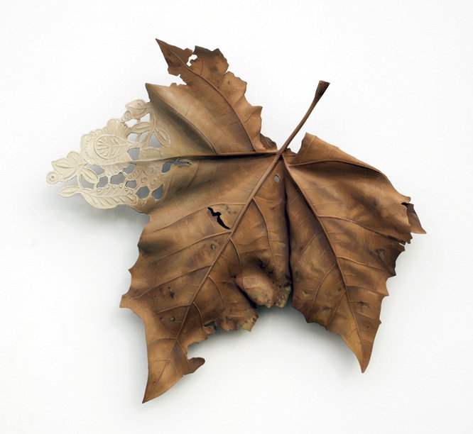 Leaf_"Domestication Series- Sycamore," 2019..jpg