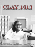 Clay1613 image.png