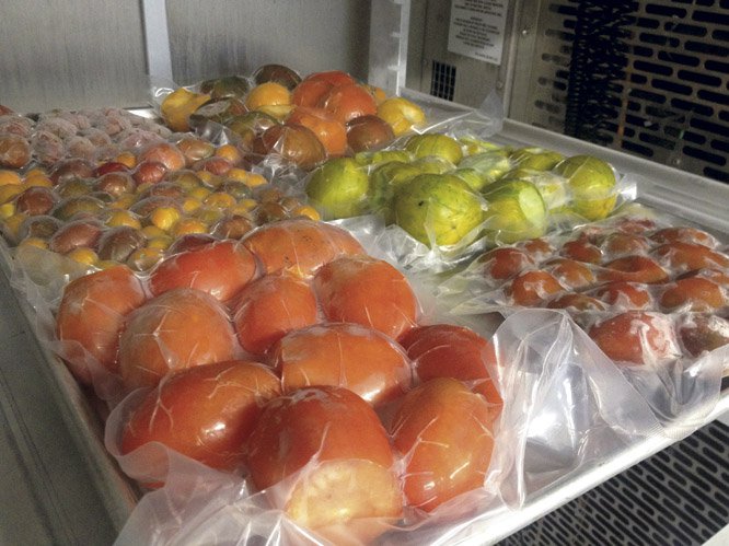 FoodChain frozen tomatoes.jpg